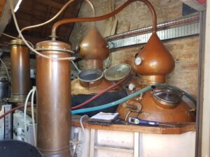 Die Brennblasen der Dornoch Distillery. Die Alambic-Form kennt man eher aus Frankreich, wenn es um die Herstellung von Cognac oder Armagnac geht.
